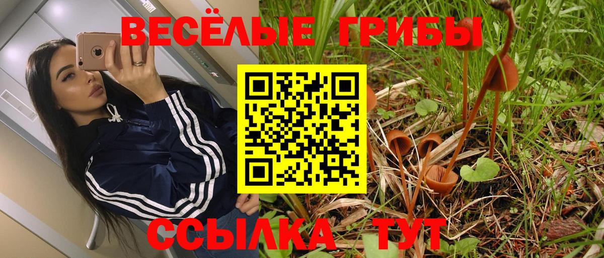 Галлюциногенные грибы Psilocybe Коряжма