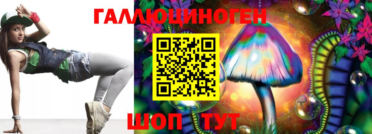 Коряжма  Галлюциногенные грибы Psilocybine cubensis  Вход с VPN 