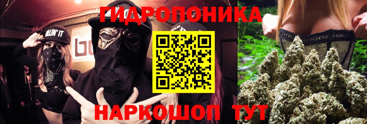 Канабис сатива Коряжма